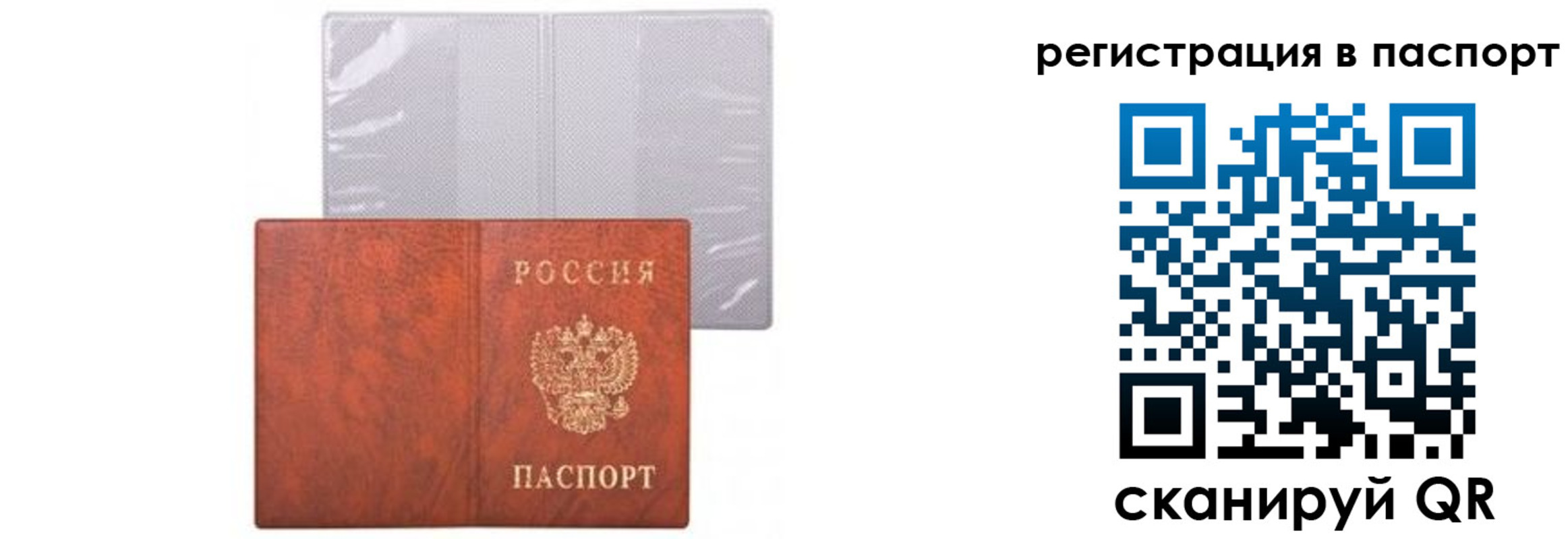прописка ребенка в Кировграде